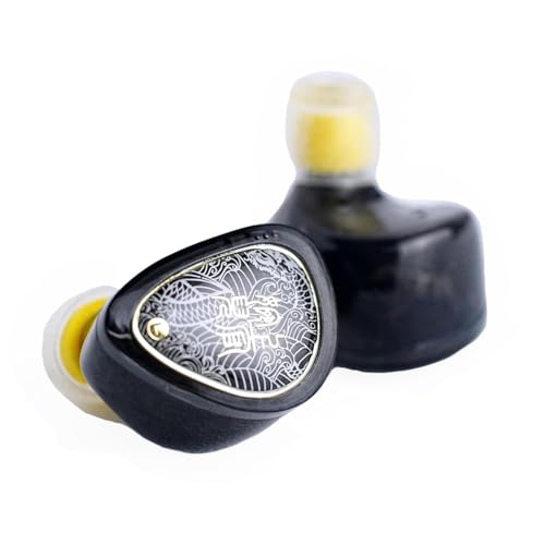 Image of TANGZU Wan'er S.G II in Ear Monitor, Gaming IEM Earphones, HiFi Wired Earphones with 10mm Single Dynamic Driver PET Diaphragm, 0.78mm 2-Pin Tangle-Free Detachable Cable (Black, Type C with Mic)