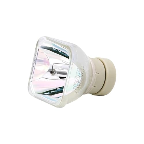 Lampe NP41LP avec douille pour vidéoprojecteur CA4255X cinéma maison