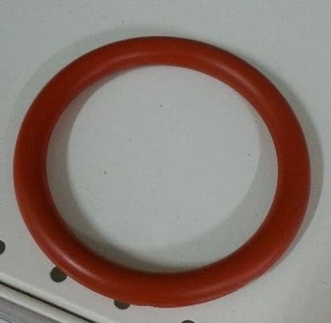 O-RING PER LAMPADA FARO PISCINA MARCA POOL'S