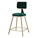 Tuklye Chaise Moderne pour Bar, Tabouret Haut Coussin éponge Jambes en métal doré, Chaise de Salle à Manger décontractée avec Dossier, Portant Poids 150 kg Abourets de Bar