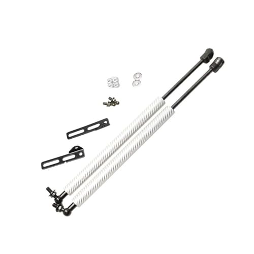 Amortisseurs capot moteur RAV4 solution levage sans effort
