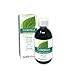 Price comparison product image Chlorophyll Naturalma - Alcohol-Free Liquid 500 ml - Food Supplement - Vegan and 100% Natural