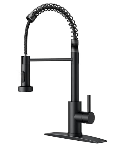 FORIOUS Black Kitchen Faucet with...