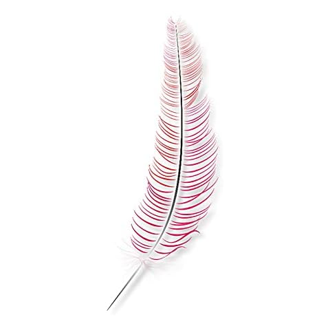 A.Monamour 3D Door Stickers with Red Feather Cover