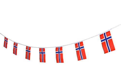 TSMD Norway Flag, 100 Feet Norwegian Nordmann Flag National Country World Pennant Flags Banner,International Party Decorations for Grand Opening,Olympics,Bar,School Sports Events,Festival Celebration - Thumbnail 3