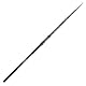Daiwa Black Widow Tele Carp 12ft 3,60m 3lb Teleskop Karpfenrute