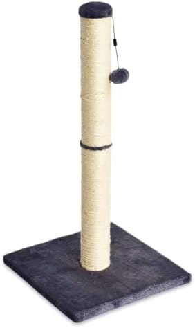 Amazon Basics Sturdy Cat Scratching Post for Indoor — bottom and base construction detail