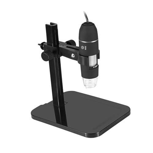 Microscope numérique USB loupe pour observer la nature en famille