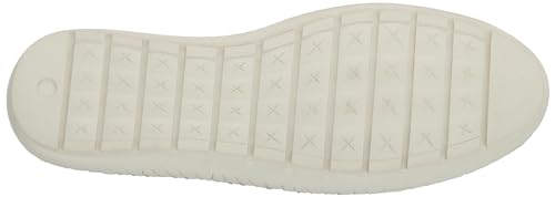 Image of Trotters Royal