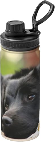 Wt RrjJbv  @r ubNuh[J~[go[ XeX{g y ۗ 킢E ۉ 530ml  ^ Rɂ 􂢂₷  ʋ ԗp v[g