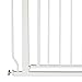 BalanceFrom Walk-Thru Safety Gate for Baby and Pets, Child Proof Fence for Doorways, Stairways, Hallways, 29.1