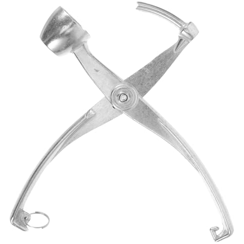 LOORGVEL Snocciolatore di Ciliegie e Datteri Rossi in Metallo Compatto e Leggero Pinza Ergonomica per Rimuovere Nocciolo Utensile Pratico per Uso Quotidiano in Cucina e Forniture per la