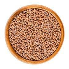 Image of SK ORGANIC Radish Seeds (Muli) for Cultivation and sprouting (250 gms)