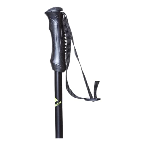 Fischer Unlimited, Bastoncini da Sci