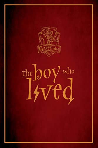 Portada de Harry Potter. Gryffindor notebook