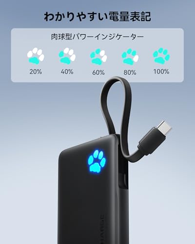 INIU Mobile Battery, Ultra-Lightweight, Compact, Slim [22.5W Fast Charging, Large Capacity 10,000mAh] Type C Mobile Battery, Popular USB C USB A Power Bank (PSE Certified, Simultaneous Charging for 3