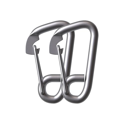 RiaYer 2-Pack T316 Stainless Steel Spring Snap Hook, 3/8
