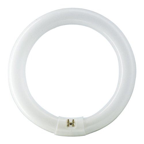 Crompton CIR40SPWW 40 W Circular Fluorescent Tube lamp T9, White, Glass, GR10q