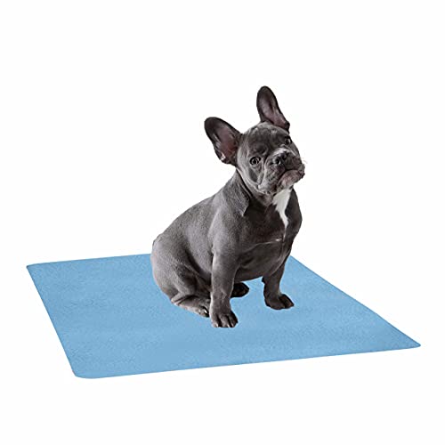 Image of Trance Trance Home Linen Medium Size Pet Sheet / Size - (100cmx70cm) 100% Waterproof with Airflow Technology, Soft, Hypo-Allergenic, Washable Pet Dry Sheet, Potty Trainer, Sky Blue
