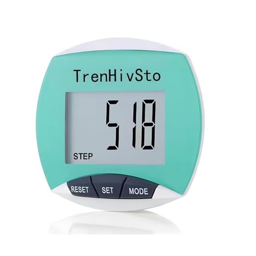 Trendy Simple Clip-On Step Counter