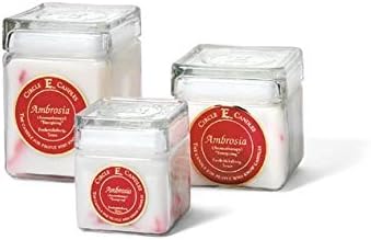 Circle E Candles 28oz Ambrosia Scent, Ambrosia is The Melodious Nectar of The Gods! This Beautiful, Honey-Sweet Hawaiian Nectar Will Surround You Like No Other Fragrance.
