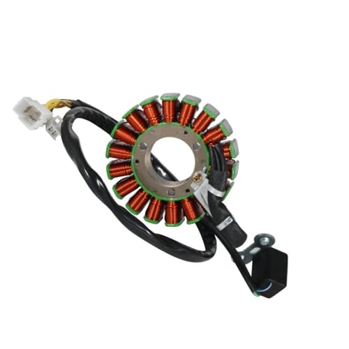 Bobine de stator de moto à haut rendement énergétique pour modèles BR250 et 250S