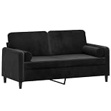 vidaXL Sofá de 2 Plazas con Cojines, Asiento con Respaldo Reposabrazos, Sofá Tapizado de Televisión, Asiento para Salón, Terciopelo Negro