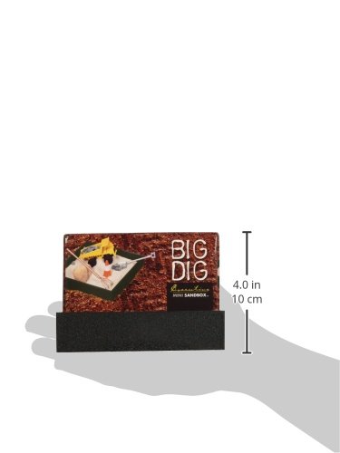 Executive Mini-Sandbox - Big Dig