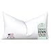Pillowflex Synthetic Down Alternative Pillow Insert for Sham (12 Inch by 20 Inch)