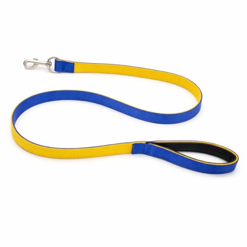 Image of Dog Leash with Padded Handle and Padded Collar Set | Adjustable Nylon Dog Collar & Heavy Duty Leash with Strong Metal Clip | Useful for Small Medium Large Dogs (Blue & Yellow)