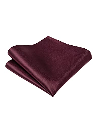 Image of YourTies Zipper Tie for Men Adjustable Pre-tied Satin Neckties and Pocket Square Set Solid Color Business Formal Wedding