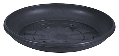 Preisvergleich Produktbild greemotion Untersetzer Harmonie, Farbe Anthrazit, Blumenuntersetzer rund, Pflanztopf-Untersetzer aus Kunststoff, Maße: ca. 50 x 50 x 7,5 cm