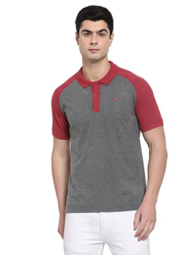 Image of Allen Cooper Polo Tshirts for Men