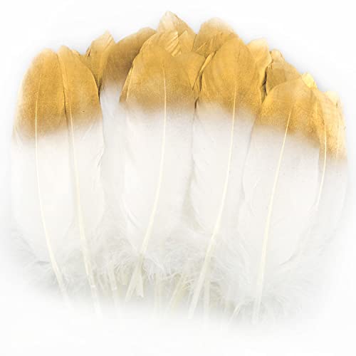 ZZHXSM 50pcs DIY Feather 6-8 inch Gold Tip Decoration Feathers White for DIY Halloween Decorations, Cosplay