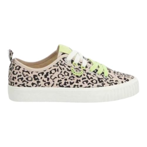 Baskets Armistice
