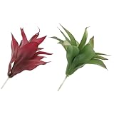  Cabilock Lot De 2 Guirlandes De Verdure Artificielles pour Décoration Dextérieur