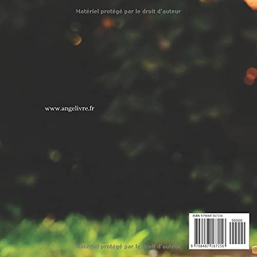 Image secondaire de Album de Naissance Personnalisé Marceau - Souvenirs et Photos