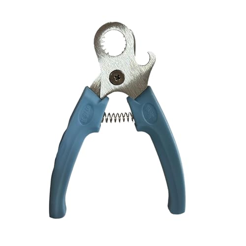 Herramienta de corte de cola de caracol, tijeras de caracol | Escargot Clippers Tijeras, Utensilios de cocina, herramienta de mariscos de acero inoxidable, eliminación de cola de caracol, cortador de