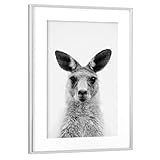 Motiv umrahmt von hochwertigem Passepartout