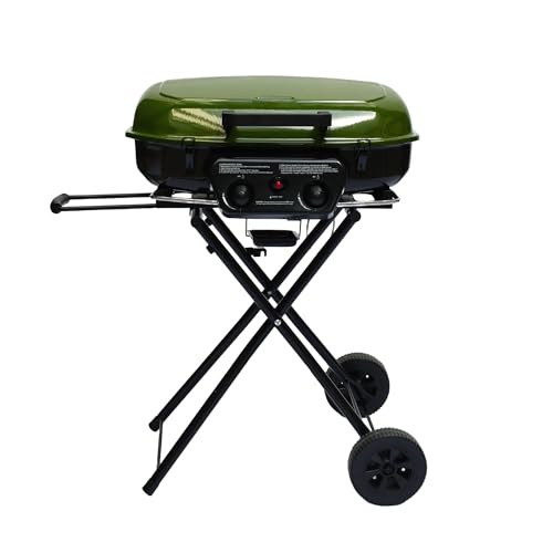 Flintex 2-Burner Portable Propane Gas Grill, 2-in-1 Camping Propane Grill with Porcelain-Enameled Griddle & Grill Grate for Outdoor Camping Picnics Backyard Cooking, Green