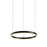 Original s.LUCE vom deutschen Fachhändler ! Futuristische Formensprache und modernste LED-Technik zeichnen die s.LUCE Ring aus.