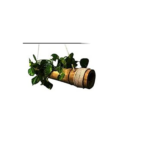 RARE OCEANS Bamboo Hanging Pot for Plant (1) RARE OCEANS Bamboo Hanging Pot for Plant (1)