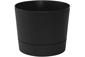 Matte Black Majestic Mid-Century Modern Low Profile Cylinder Pot