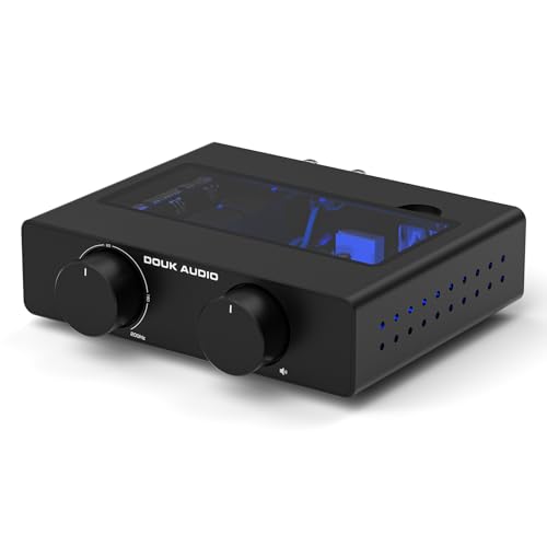 Amplificateur Stéréo Douk Audio A5 TPA3255, Mini Amplificateur de Puissance Audio HiFi 600 W Classe D pour Système Home Cinéma, Enceinte Colonne Passive avec Filtre Passe-Haut et Alimentation 48 V