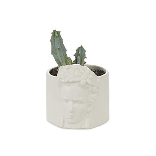 Balvi Mini Maceta Frida Color Blanco Tiesto para Plantas pequeñas Ideal para Cactus Cerámica 8,5 cm d