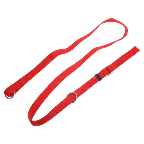 DOITOOL 2pcs Pets Safe Pet Bath Rope Grooming Table Arm Cat Pearl Collar Fish Bowl Covers Pet Beauty Rope Pet Grooming Rope Grooming Table Rope for Pet Fixed Rope Beauty Table Large