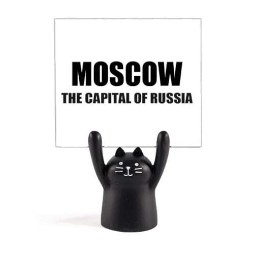 XNAVA̎s J[gD[LX^h^z_[