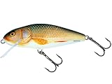 Salmo Perch Wobbler Jerkbaits für Hecht, Zander, Barsch, Hechtköder, Hechtwobbler, Forellenwobbler, Barschwobbler Real Roach 12cm / 36g / schwimmend / 2.0-4.0m