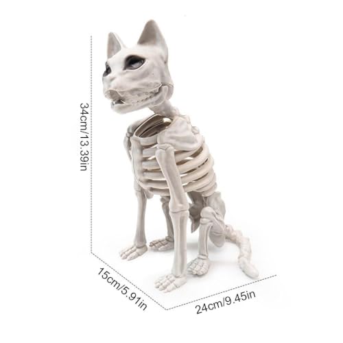 Squelette de chat d Halloween modèle de sculpture réaliste et durable - 6