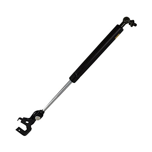 2 Pack Front Hood Lift Supports Shocks Struts Rods For 1991-1996 Camry,1992-1996 Es300,1994-1997 Holden Apollo 4217L-R 4217L 4217R #TOP2